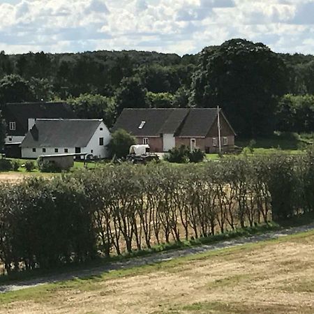 Maison d'hôtes Grethelund - 50M2 à Silkeborg Extérieur photo