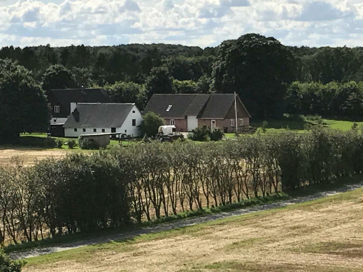 Maison d'hôtes Grethelund - 50M2 à Silkeborg Extérieur photo